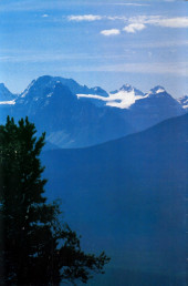 Verso de Cerebus (1977) -261- Going Home 30