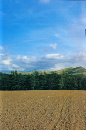 Verso de Cerebus (1977) -238- Going Home 7