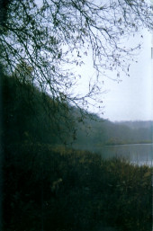 Verso de Cerebus (1977) -248- Going Home 17