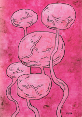 Verso de The rust Kingdom - The Wizard Hat