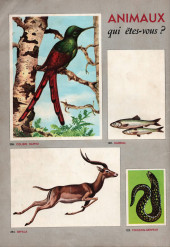 Verso de Pepito (5e Série - SAGE) (Numéro Géant) -19- Un œuf et un vieux