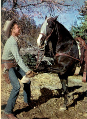 Verso de Aventura (1954 - Sea/Novaro) -172- Rex Allen