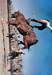 Verso de Western Roundup (Dell - 1952) -2- Issue #2