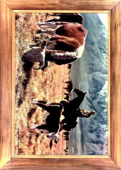 Verso de Western Roundup (Dell - 1952) -3- Issue #3