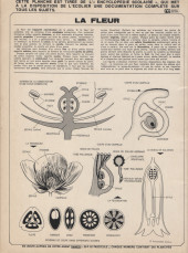 Verso de Samedi Jeunesse -214- La grande épreuve