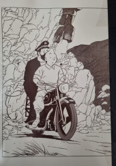 Verso de Tintin - Pastiches, parodies & pirates -1988- Tintin et le mystère de la toison d'or