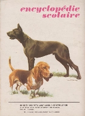 Verso de Samedi Jeunesse -180- La nuit des gargouilles