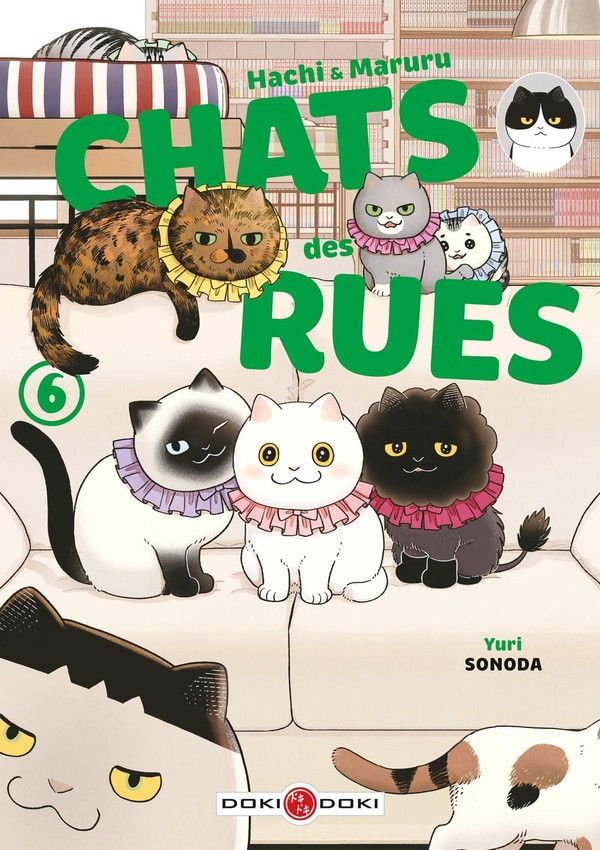 Couverture de Hachi & Maruru - Chats des rues -6- Tome 6