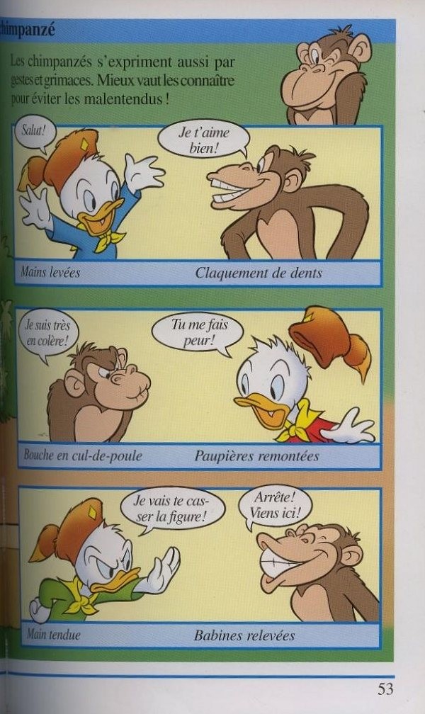 Planche