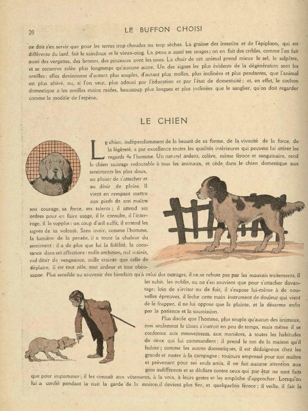 Planche