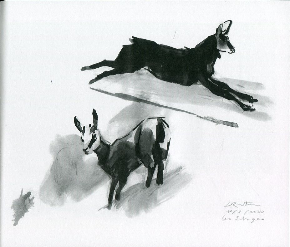 Planche