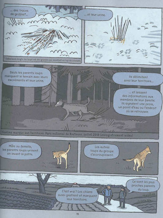 Planche