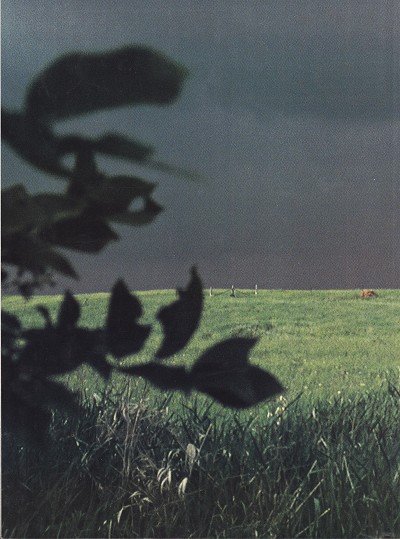 Verso