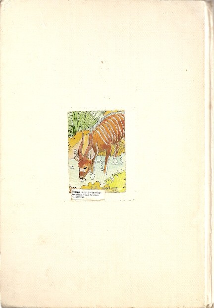 Verso