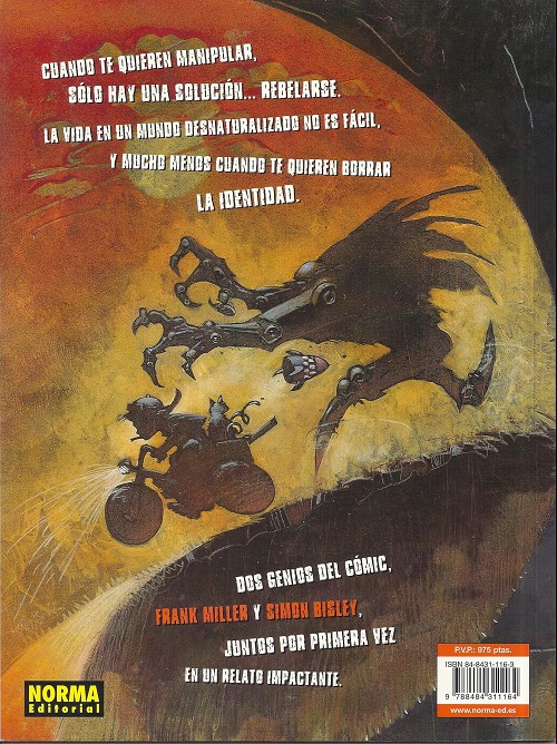 Verso