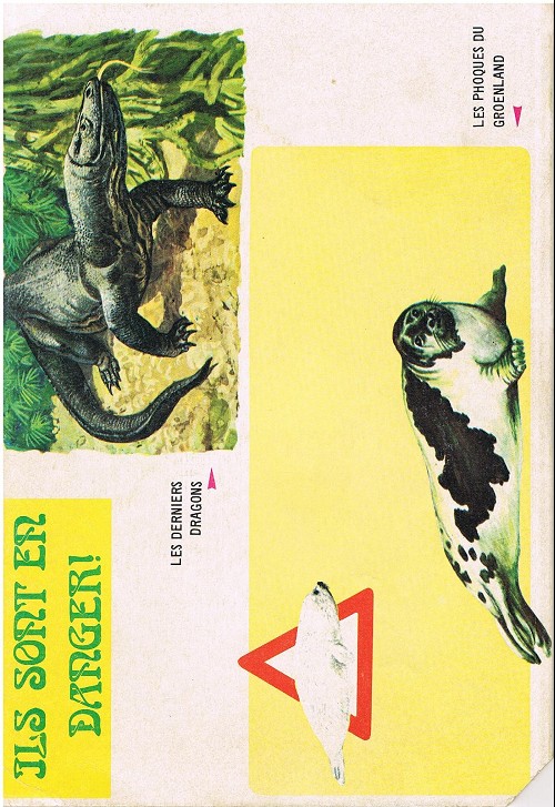Verso
