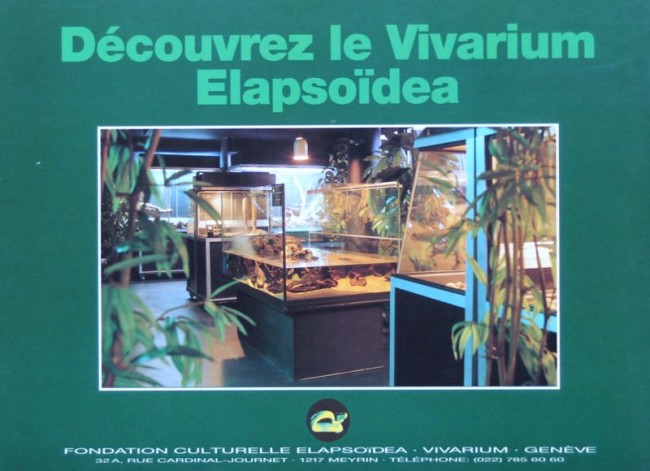 Verso