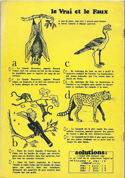 Verso