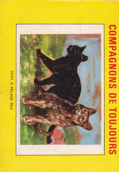 Verso