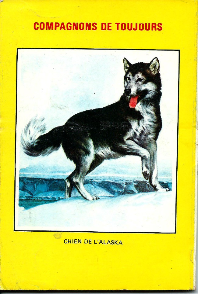 Verso