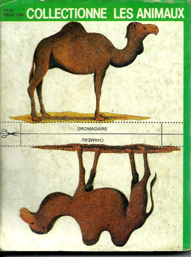 Verso