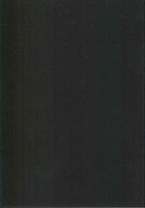 Verso