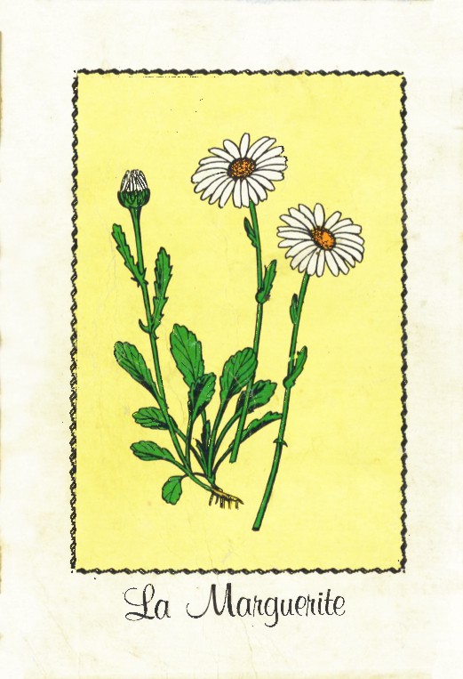 Verso