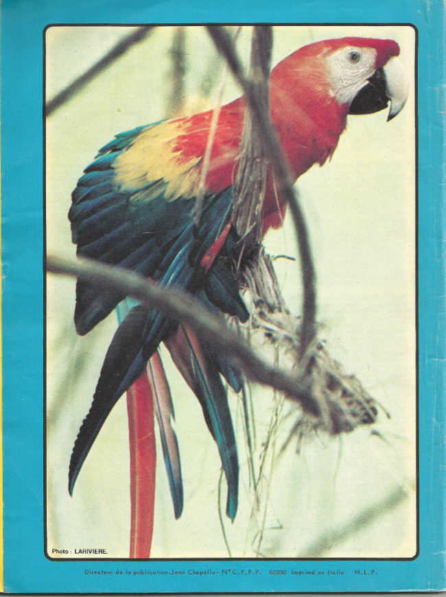 Verso