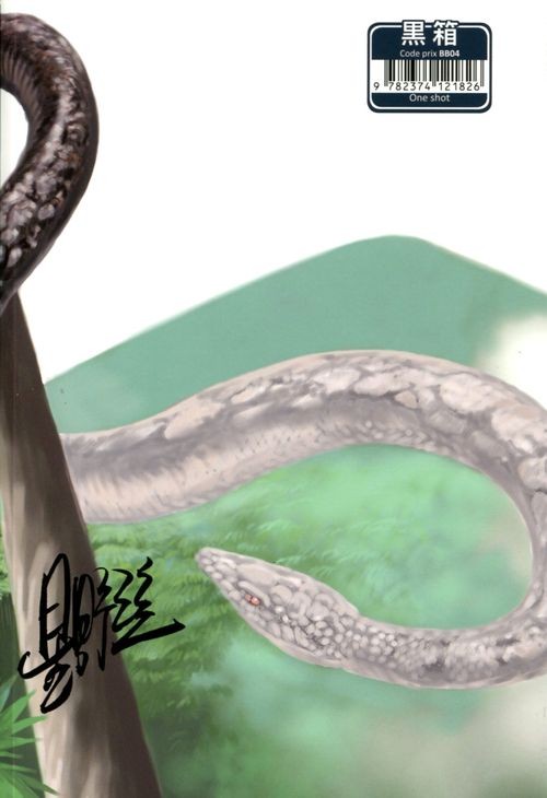 Verso