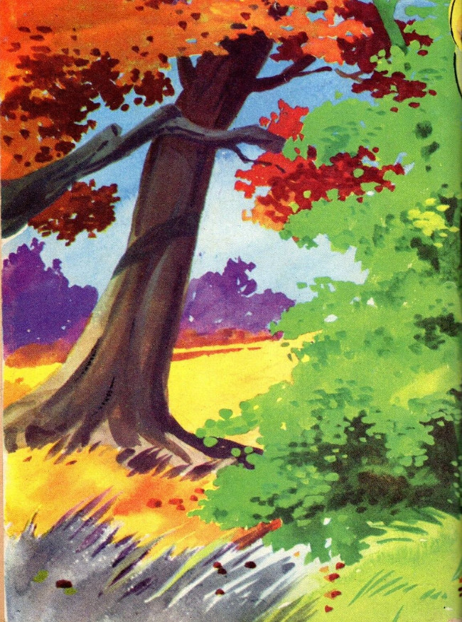 Verso