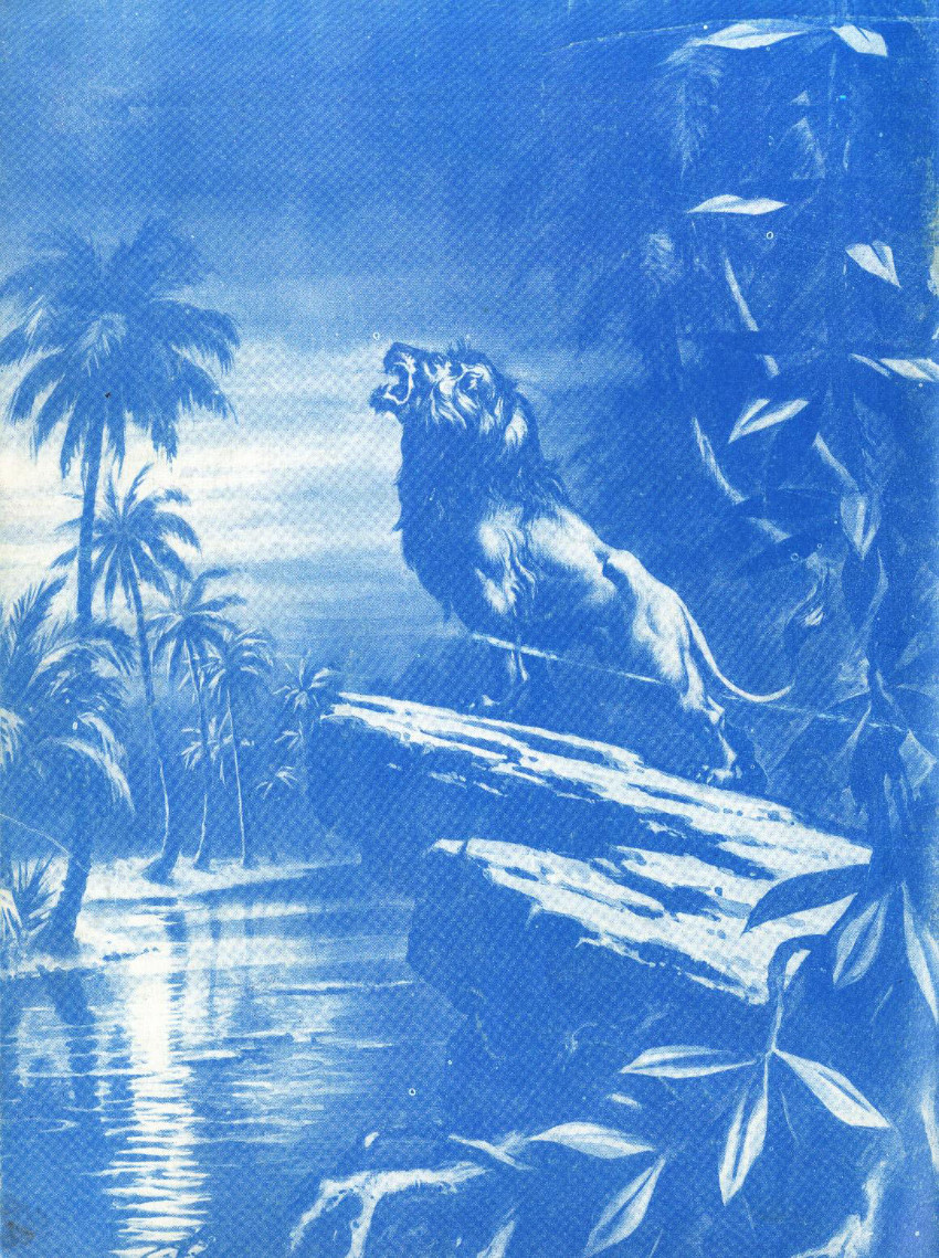 Verso