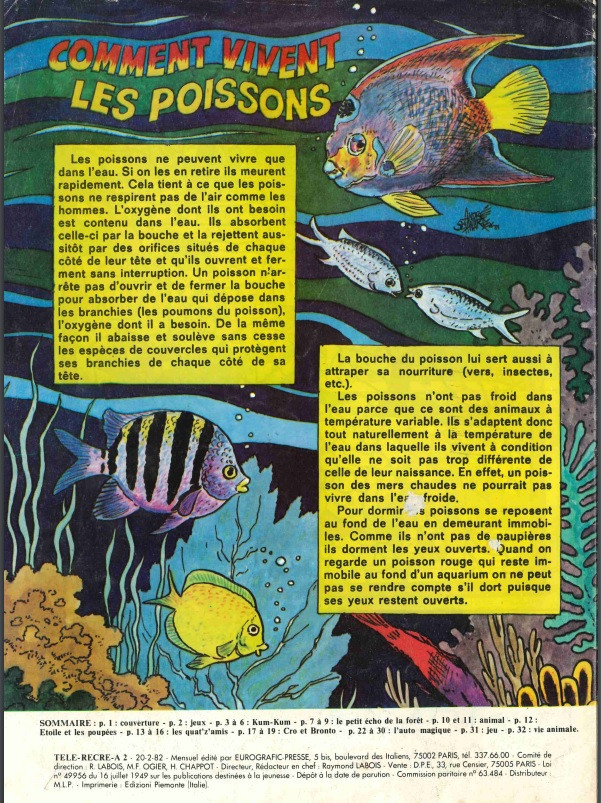 Verso