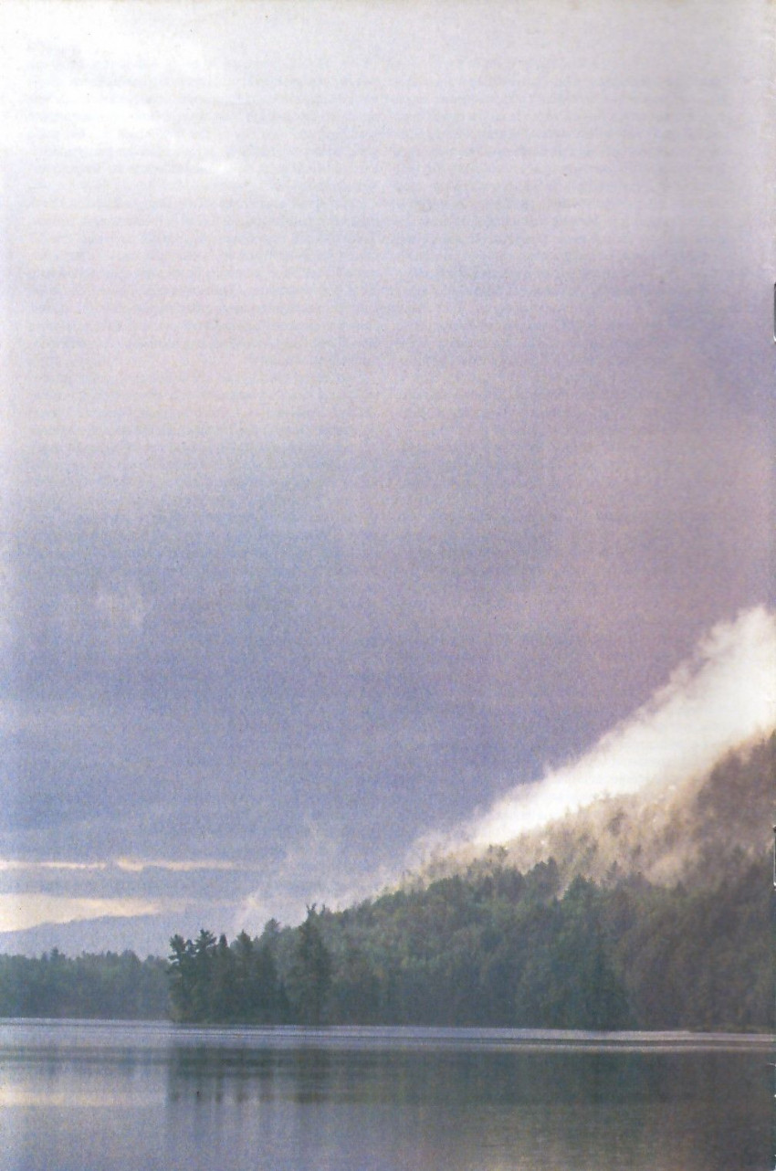 Verso