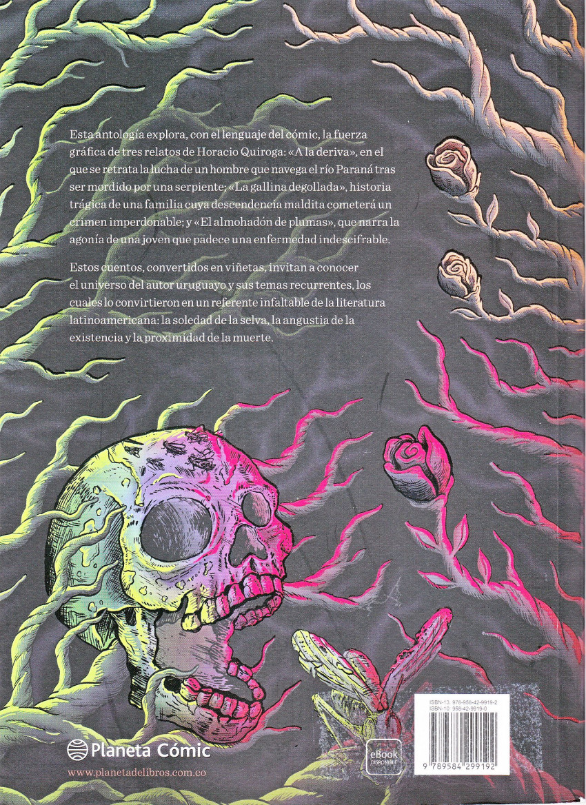 Verso