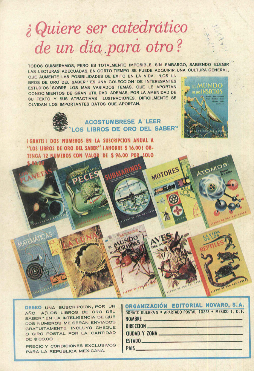 Verso
