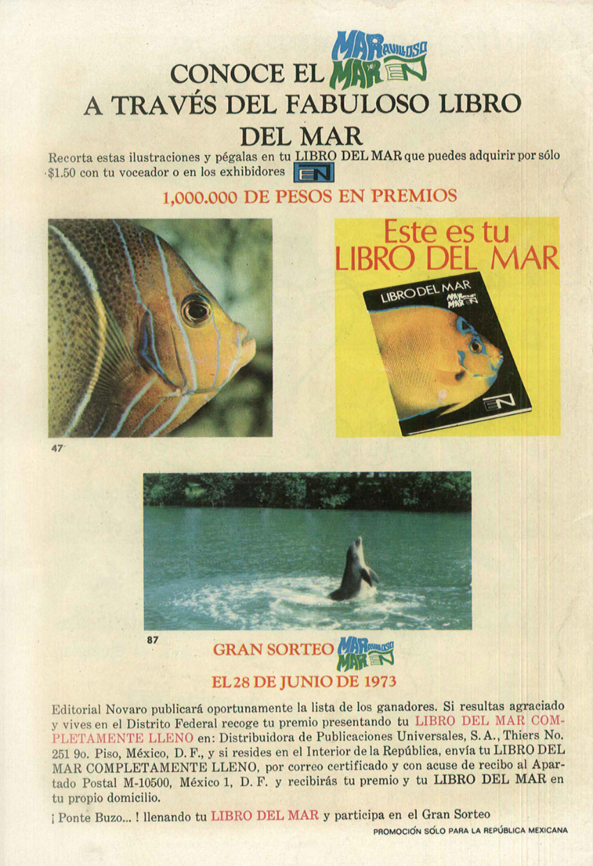 Verso