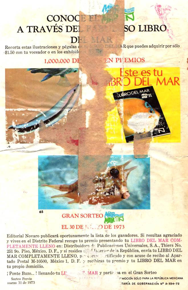 Verso