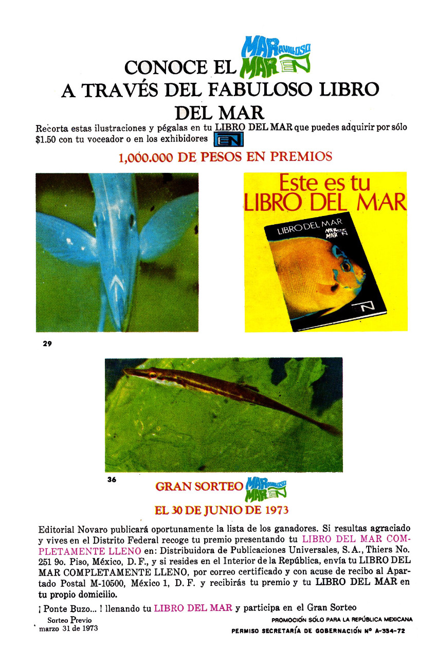 Verso