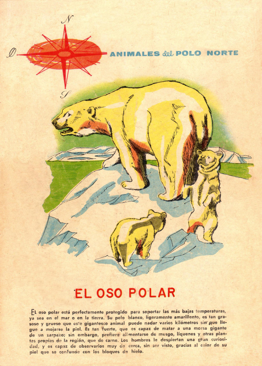 Verso