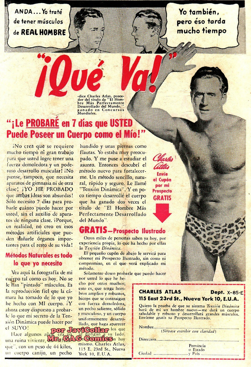 Verso