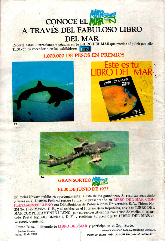 Verso