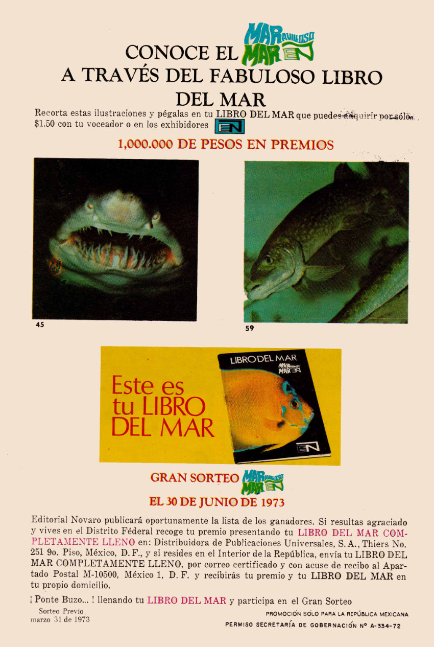 Verso