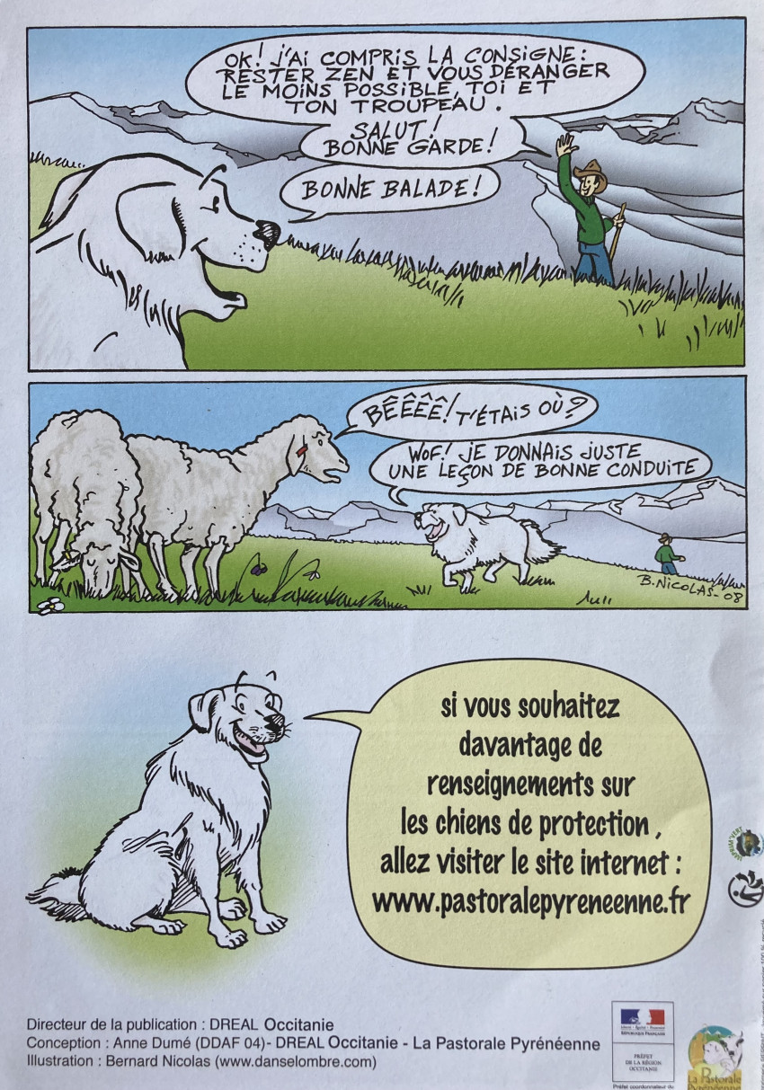 Verso