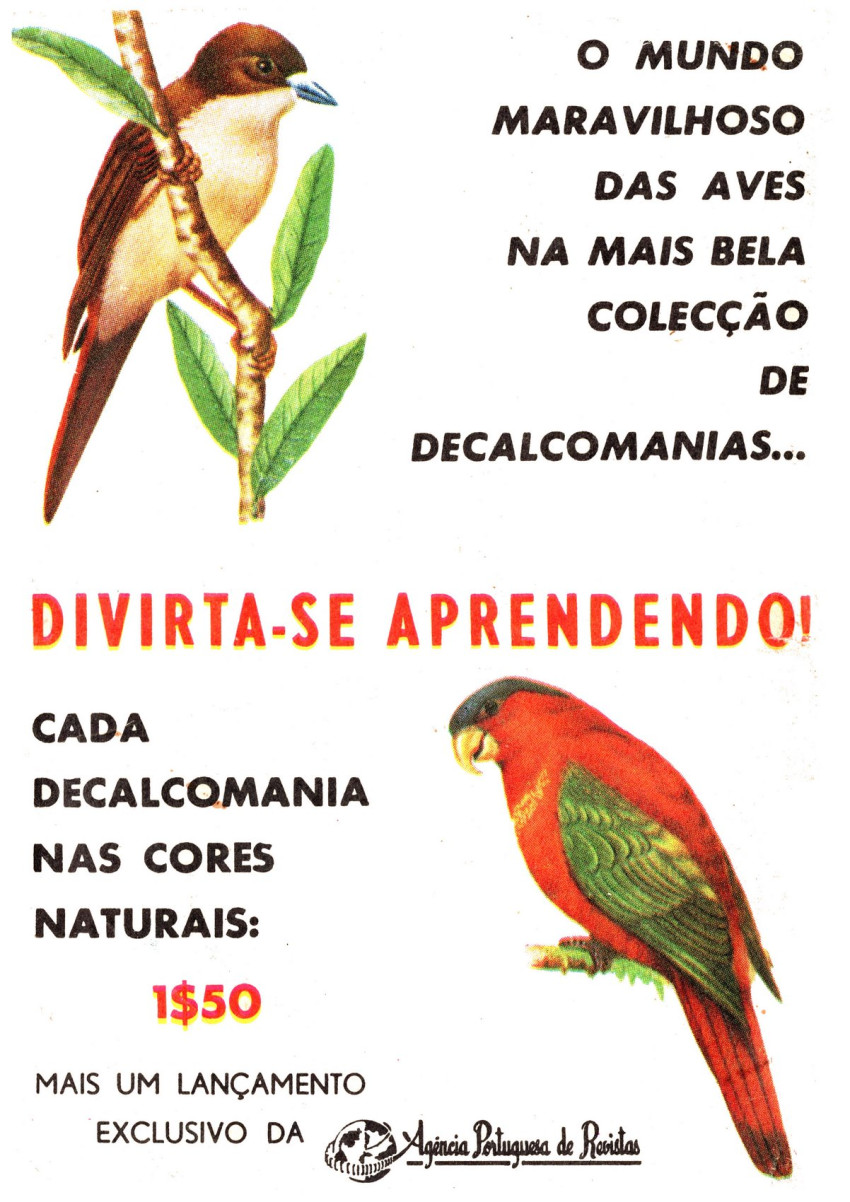 Verso