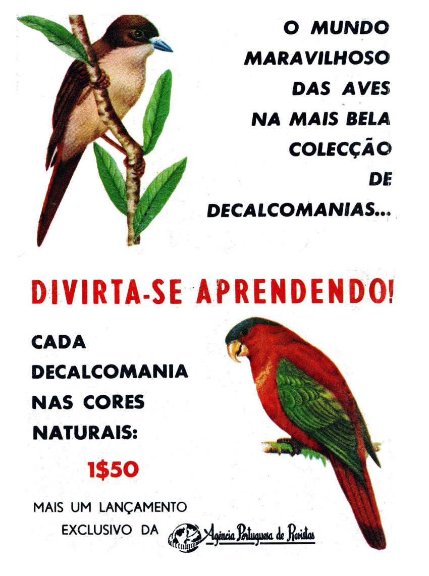 Verso