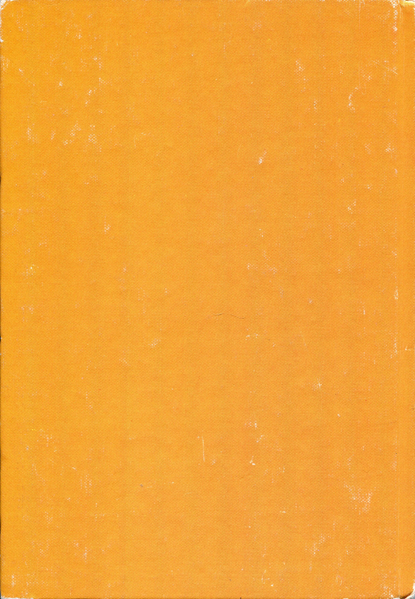 Verso