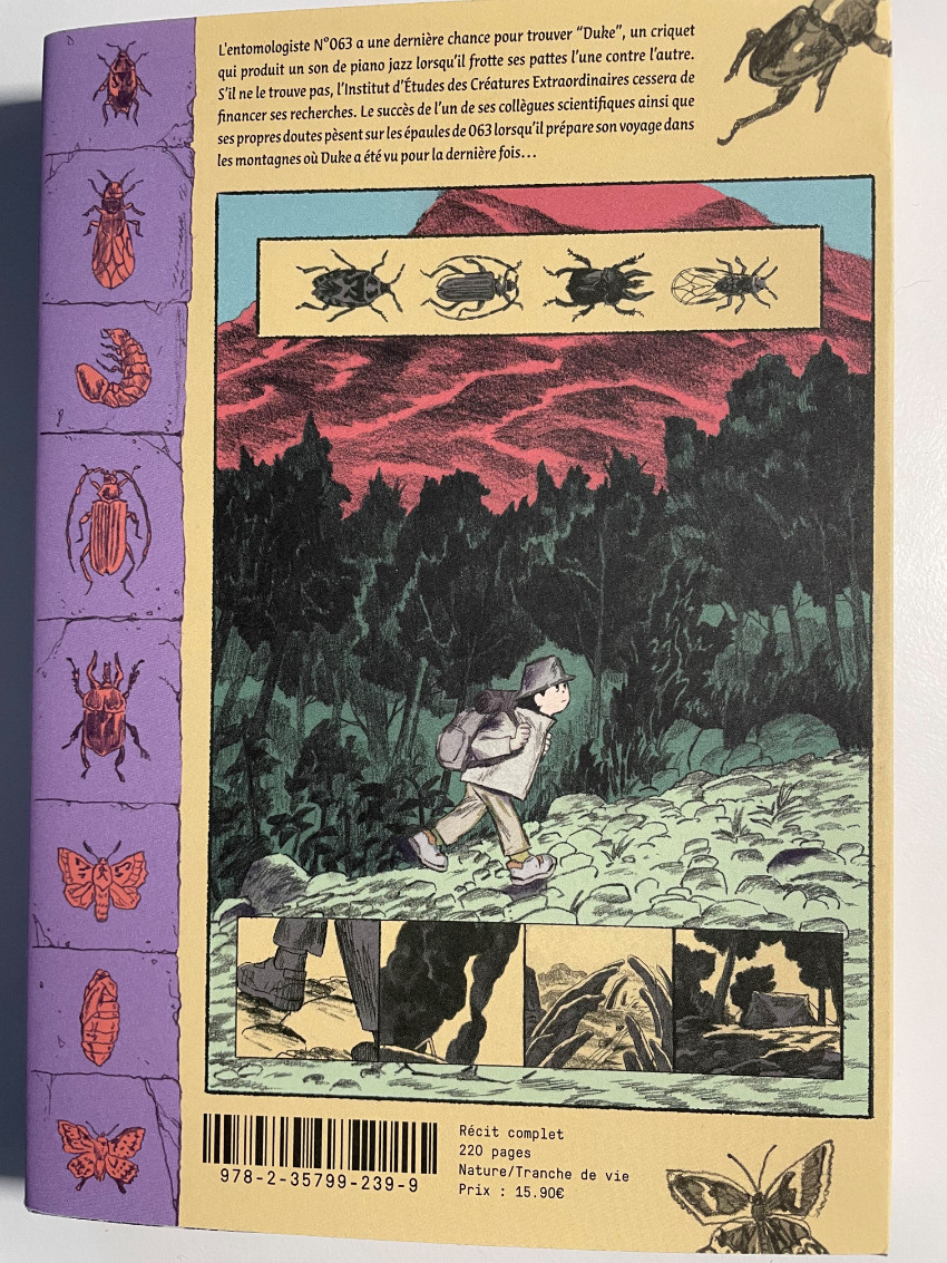 Verso