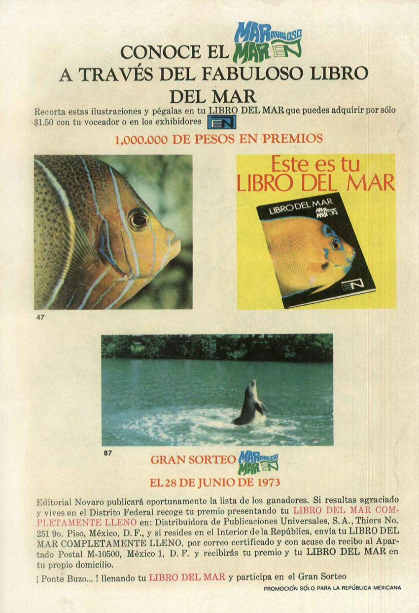 Verso
