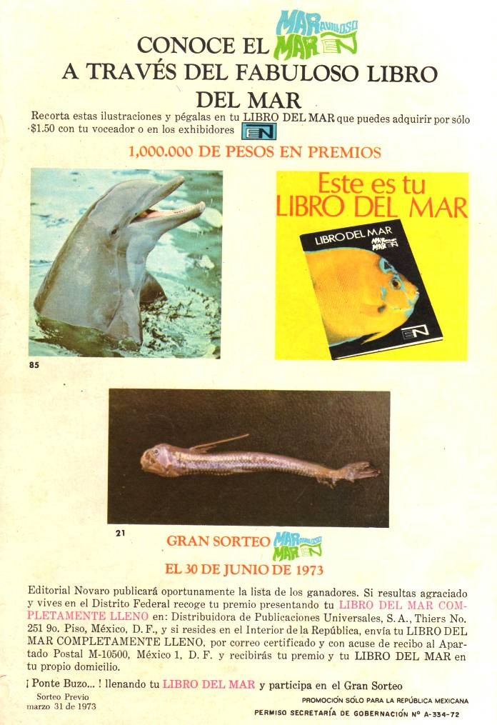 Verso