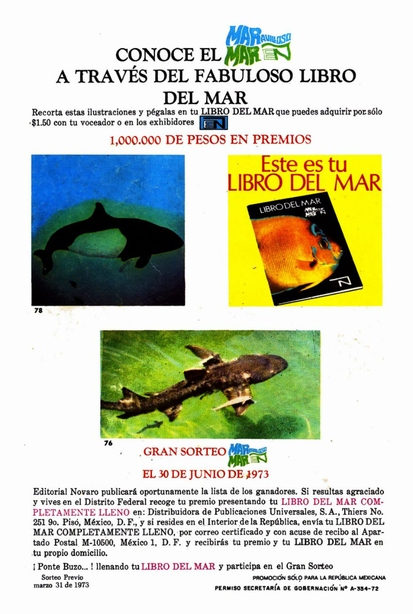 Verso